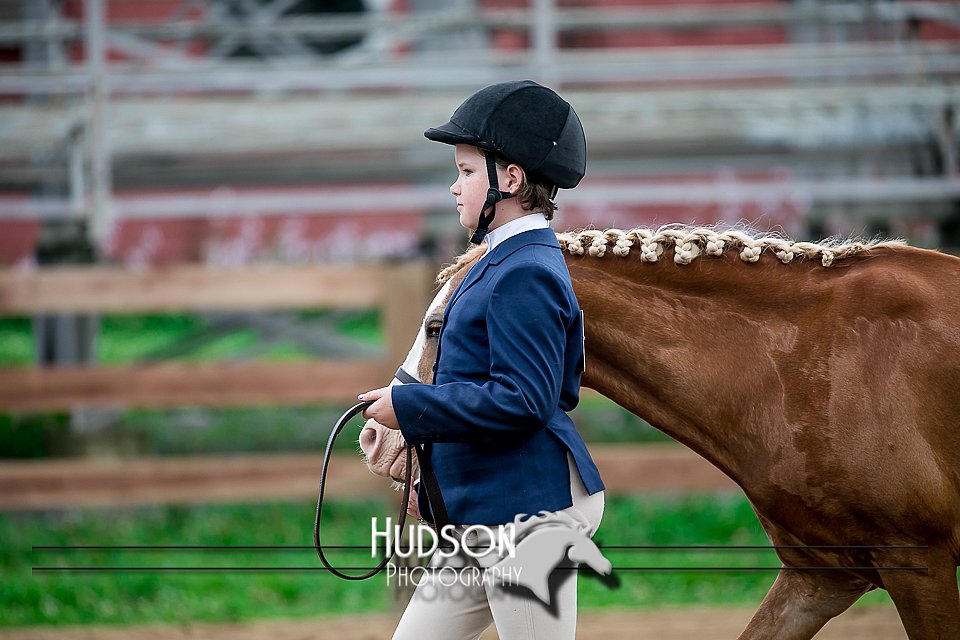 4H-2nd-071517-1498.jpg