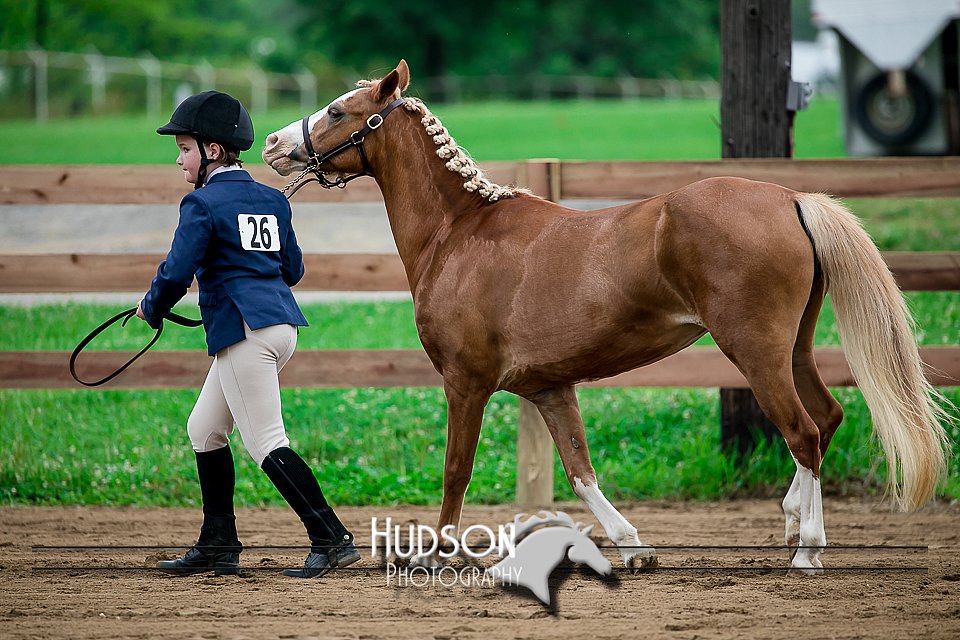4H-2nd-071517-1500.jpg