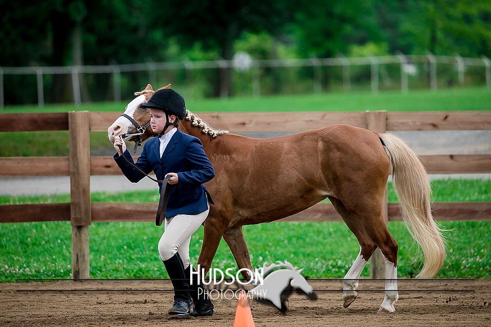 4H-2nd-071517-1501.jpg