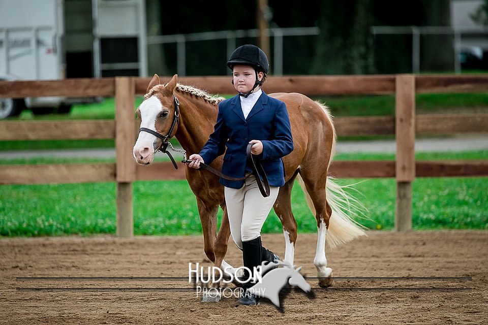 4H-2nd-071517-1504.jpg