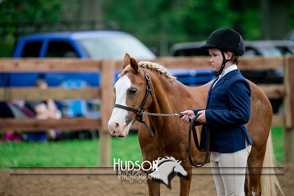 4H-2nd-071517-1508.jpg