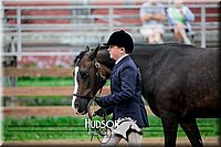 4H-2nd-071517-1481.jpg