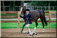 4H-2nd-071517-1486.jpg