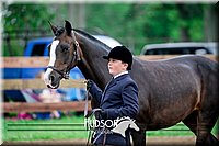 4H-2nd-071517-1489.jpg