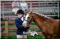 4H-2nd-071517-1493.jpg