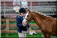 4H-2nd-071517-1494.jpg