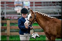 4H-2nd-071517-1495.jpg