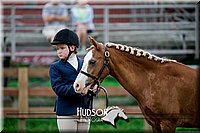 4H-2nd-071517-1496.jpg