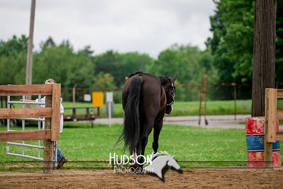 4H-2nd-071517-1538.jpg