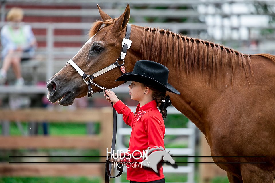 4H-2nd-071517-1618.jpg