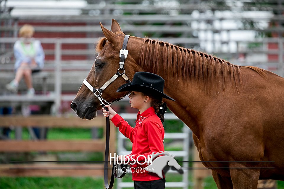 4H-2nd-071517-1621.jpg