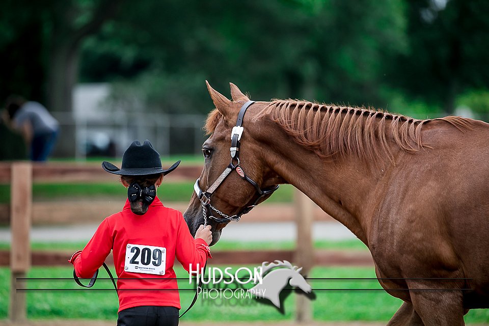 4H-2nd-071517-1624.jpg