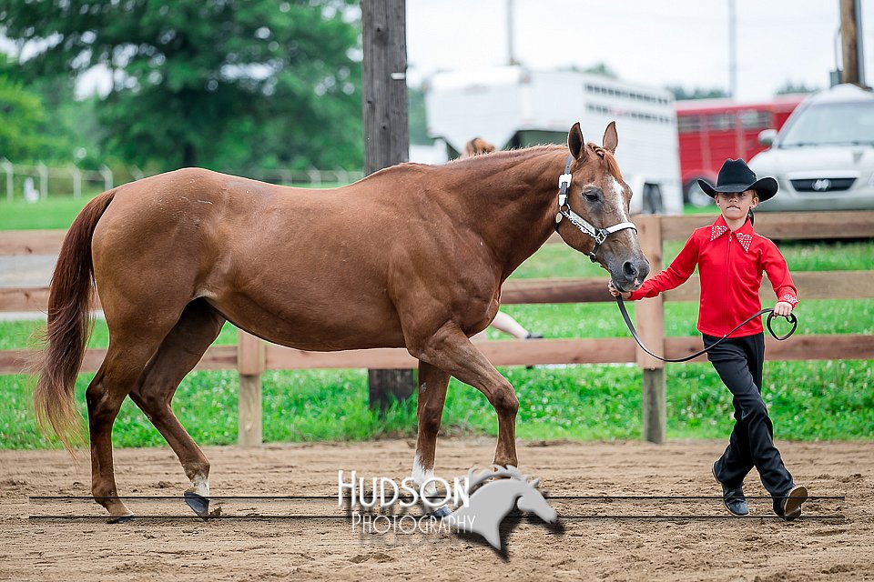 4H-2nd-071517-1627.jpg