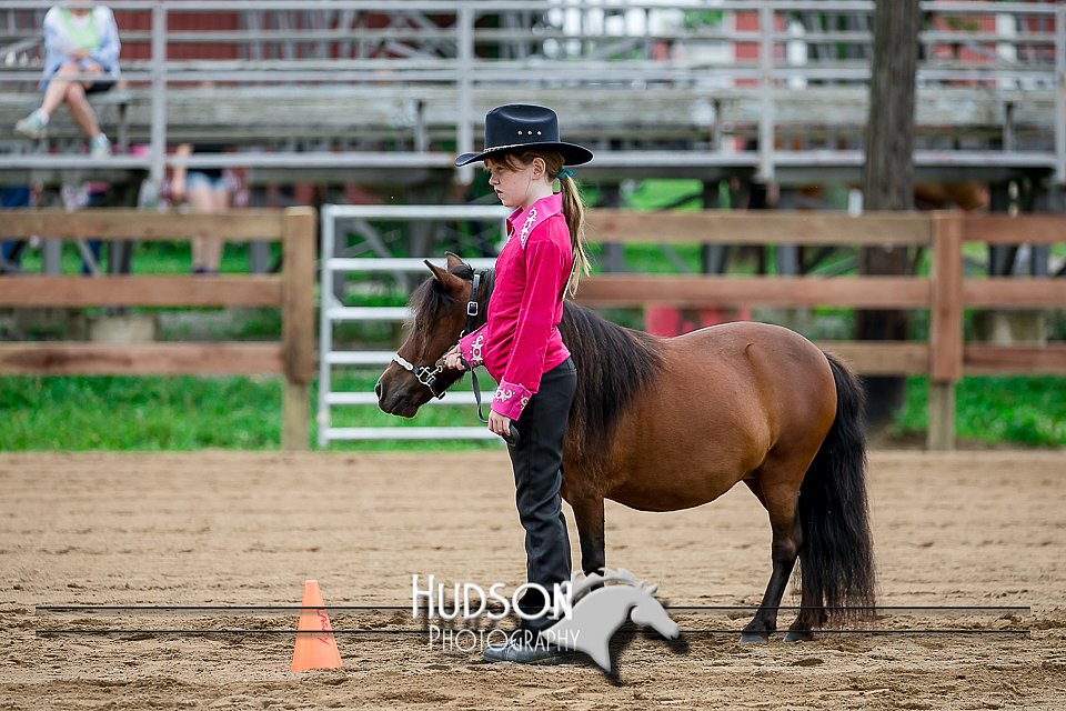 4H-2nd-071517-1640.jpg