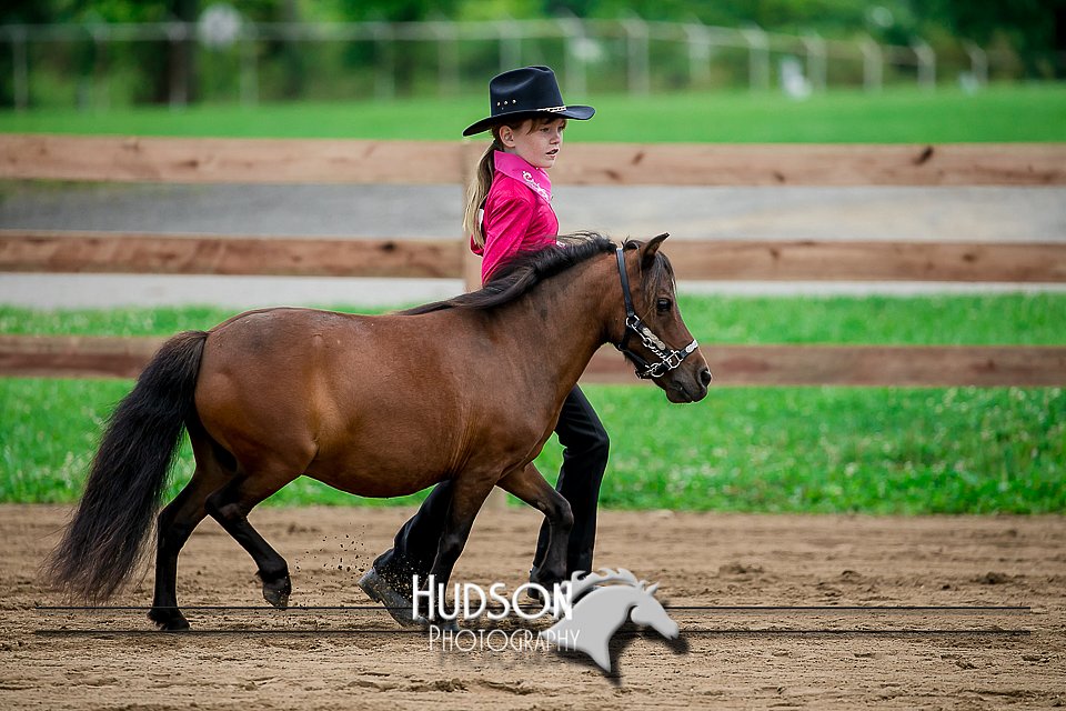 4H-2nd-071517-1643.jpg