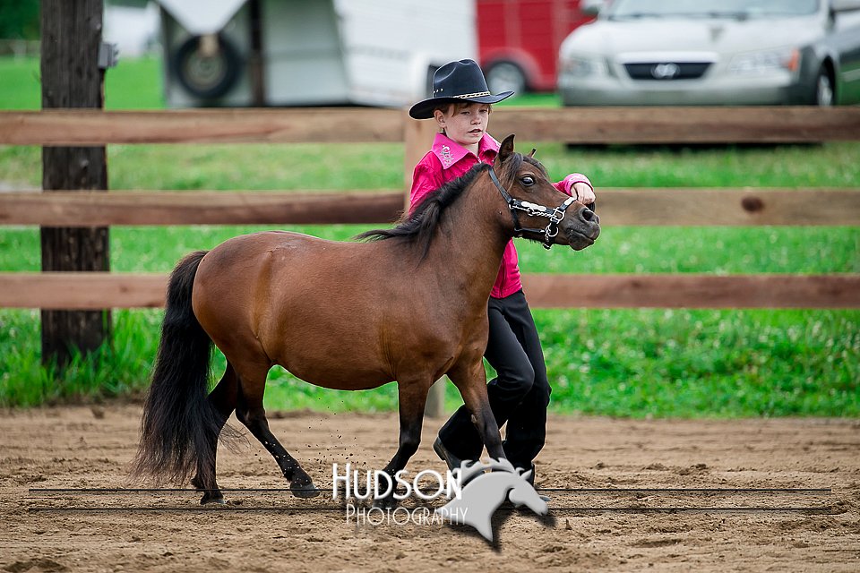 4H-2nd-071517-1645.jpg