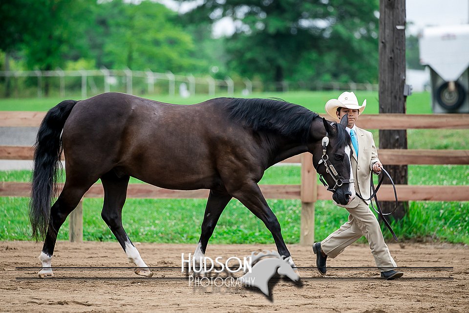 4H-2nd-071517-1659.jpg