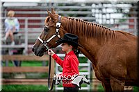 4H-2nd-071517-1620.jpg