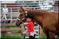 4H-2nd-071517-1622.jpg