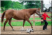 4H-2nd-071517-1626.jpg