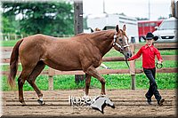4H-2nd-071517-1627.jpg