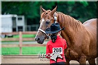 4H-2nd-071517-1637.jpg
