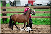 4H-2nd-071517-1645.jpg