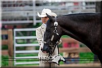 4H-2nd-071517-1652.jpg