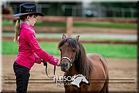 4H-2nd-071517-1655.jpg