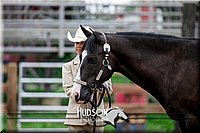 4H-2nd-071517-1656.jpg