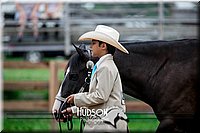 4H-2nd-071517-1657.jpg