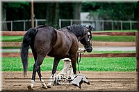 4H-2nd-071517-1658.jpg