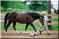 4H-2nd-071517-1659.jpg