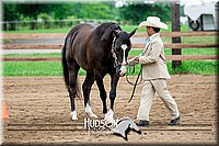 4H-2nd-071517-1664.jpg