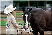 4H-2nd-071517-1667.jpg