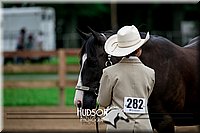 4H-2nd-071517-1668.jpg