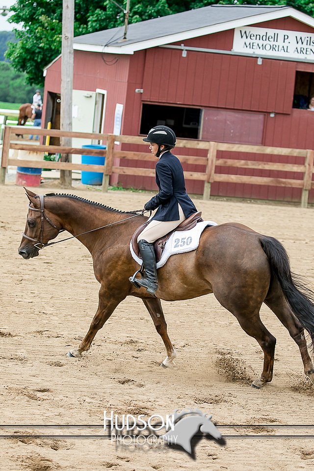 4H-2nd-071517-1911.jpg