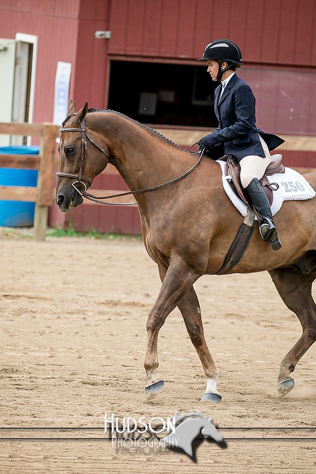 4H-2nd-071517-1912.jpg