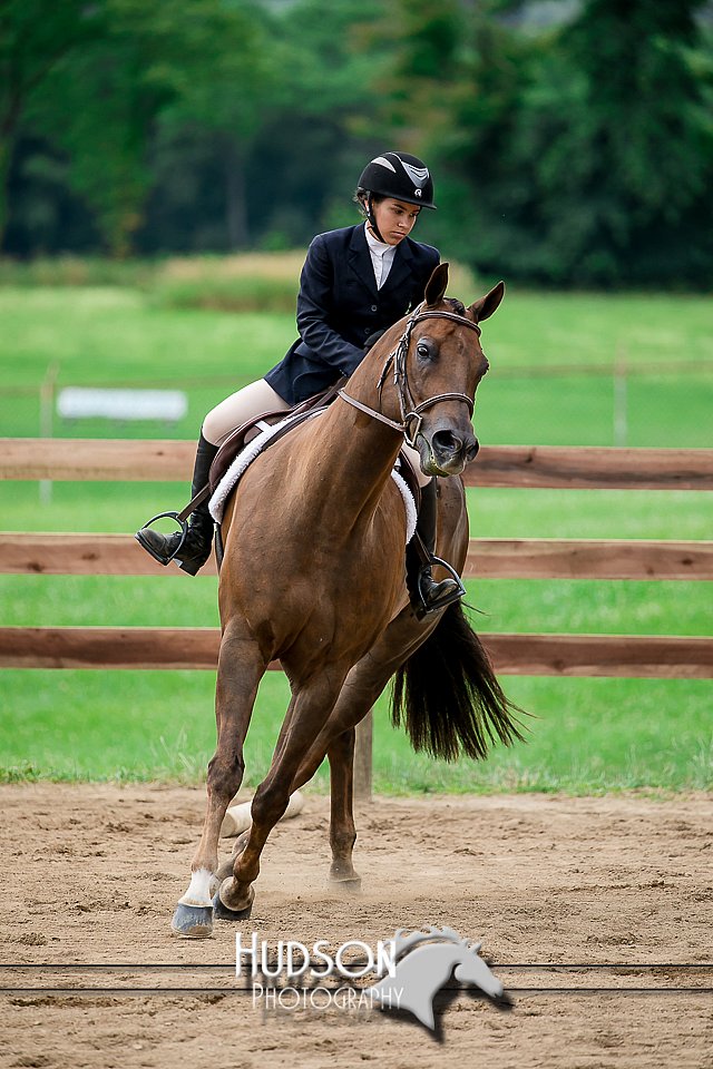 4H-2nd-071517-1913.jpg