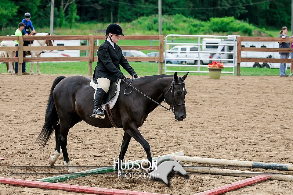 4H-2nd-071517-1918.jpg