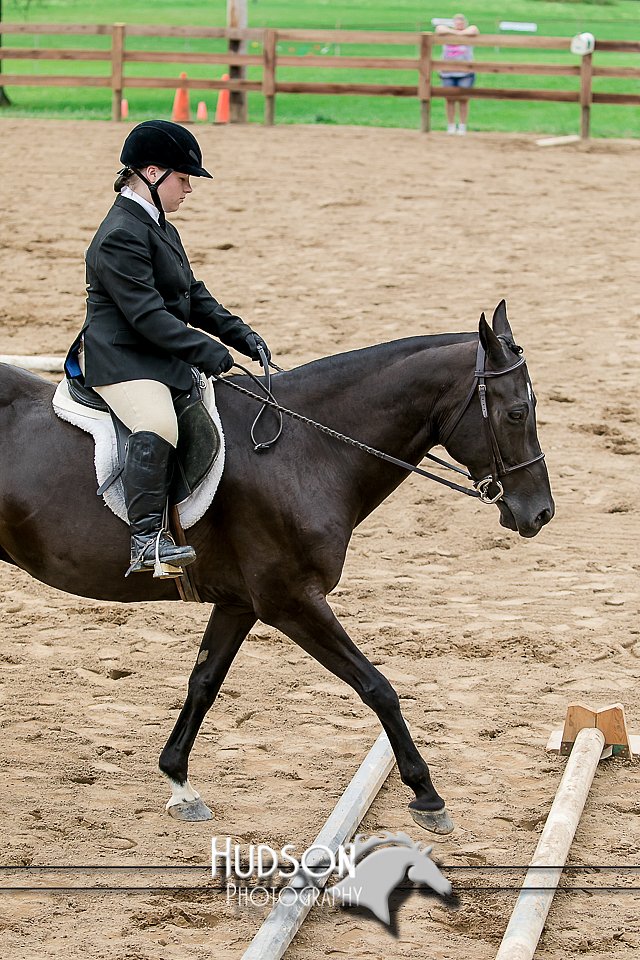 4H-2nd-071517-1921.jpg