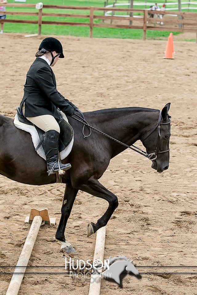 4H-2nd-071517-1922.jpg
