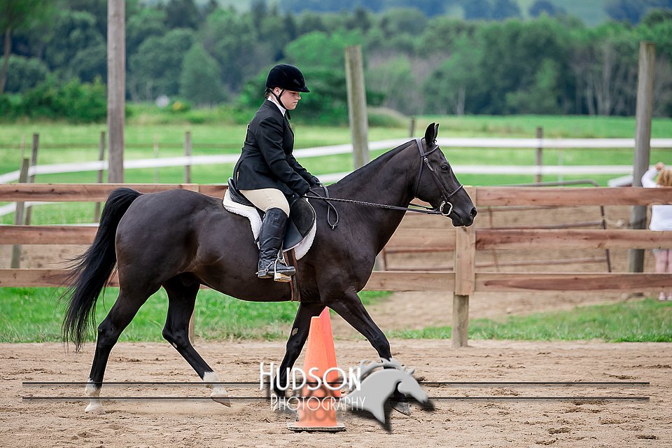 4H-2nd-071517-1926.jpg