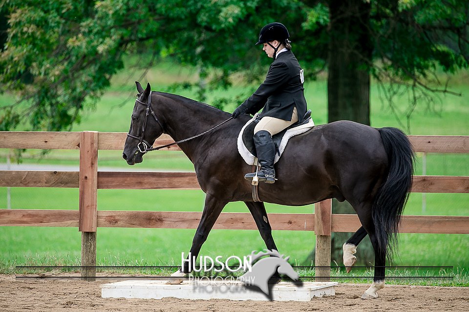 4H-2nd-071517-1931.jpg