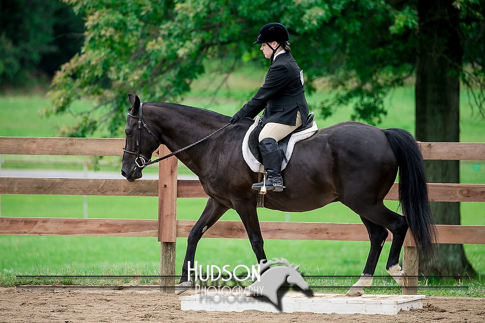 4H-2nd-071517-1932.jpg