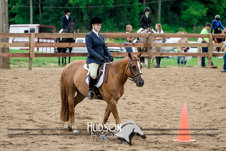 4H-2nd-071517-1933.jpg