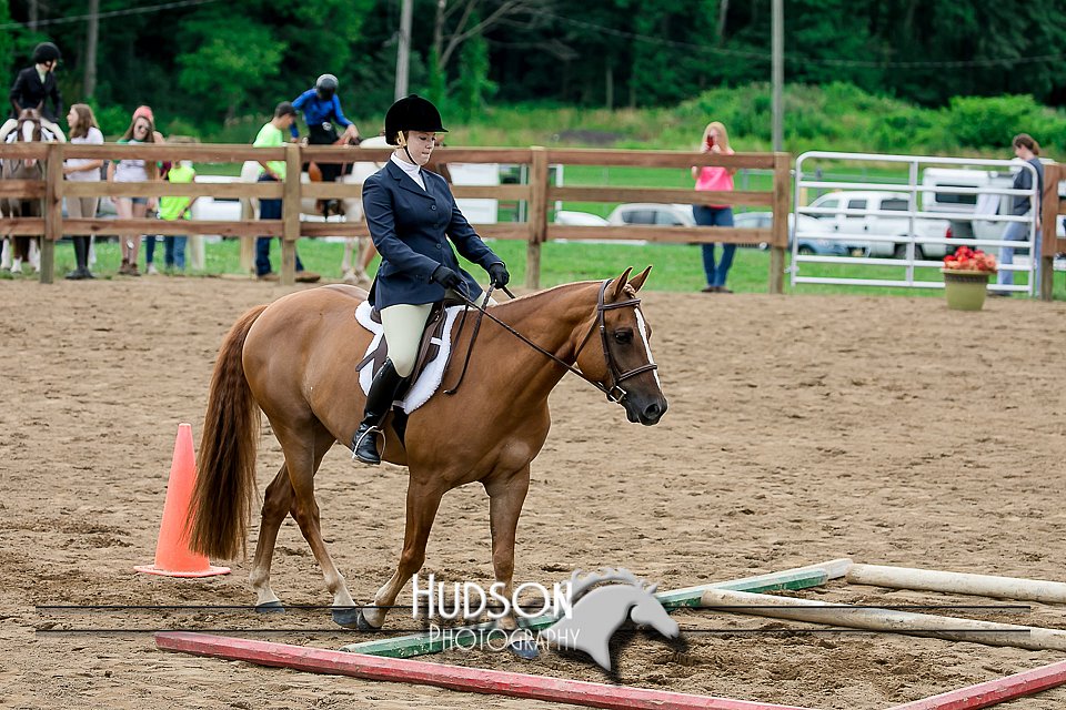 4H-2nd-071517-1934.jpg