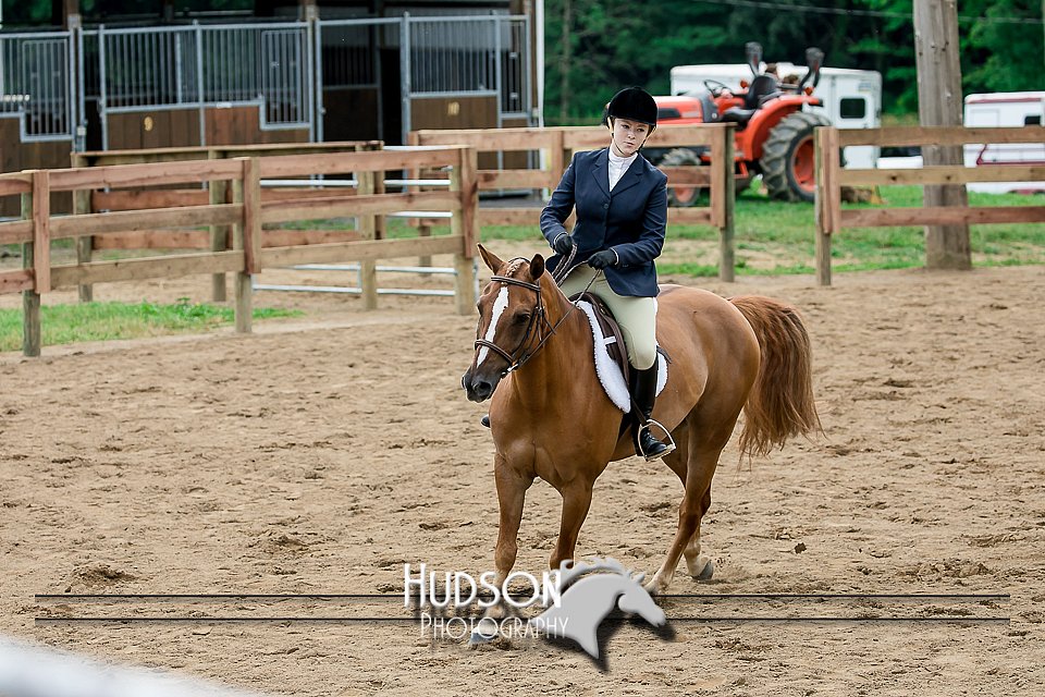 4H-2nd-071517-1936.jpg