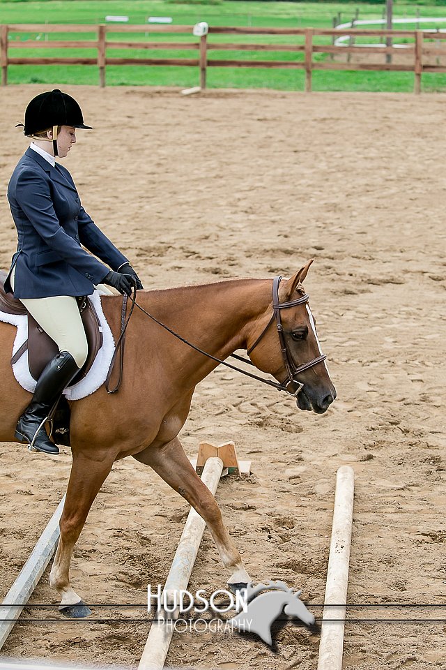 4H-2nd-071517-1938.jpg