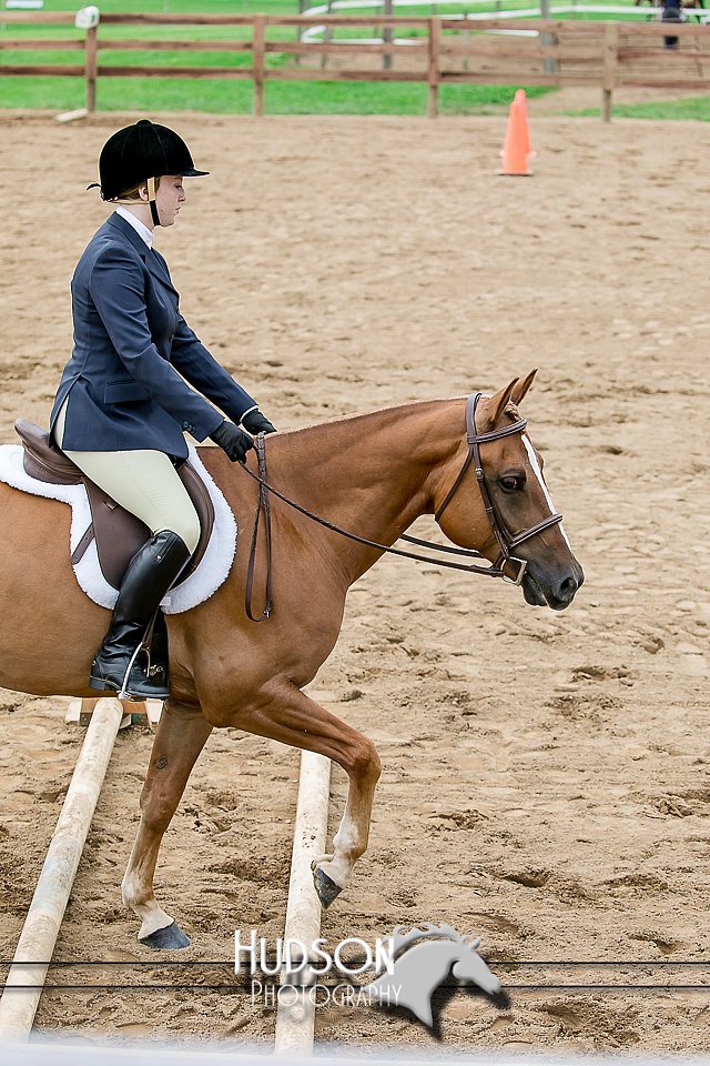 4H-2nd-071517-1939.jpg